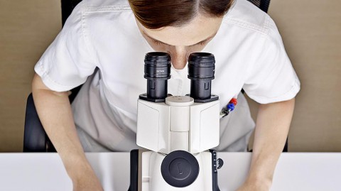 ​Открытие века: ученые нашли у человека новый орган