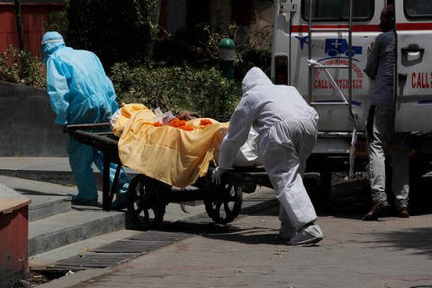 Чума в Китае. Чем это грозит россиянам?