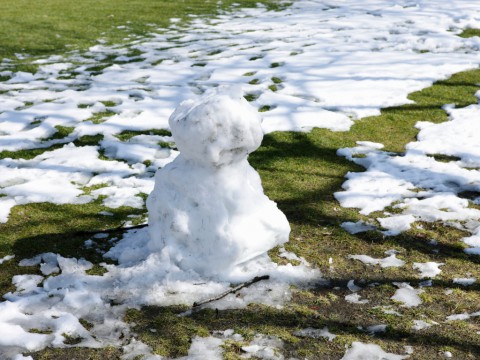 Почему зима была аномально теплой?