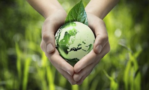 Они заботятся о нашем здоровье не хуже врачей