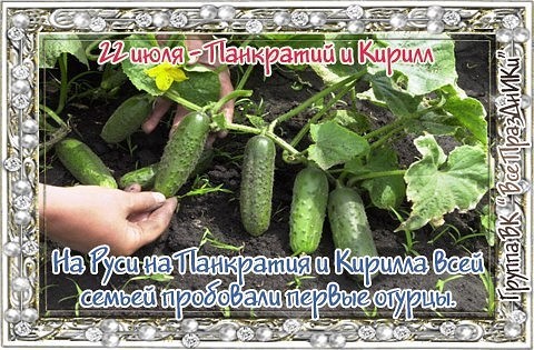 ​Народный календарь: Панкратий и Кирилл