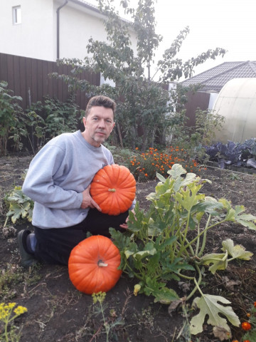 На даче у редакции, или «Мы с вами одной крови!» Часть 2. Тыквы-гиганты у директора