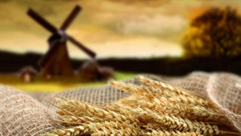 ​Народный календарь: Астафий Ветряк