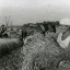 ​Звание званию - рознь
