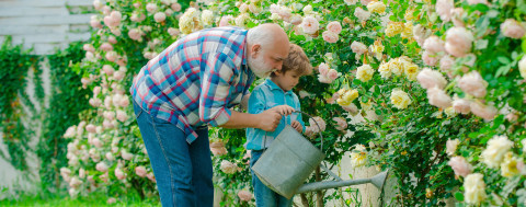 ​«Старшие»: горькая правда или сладкая ложь?