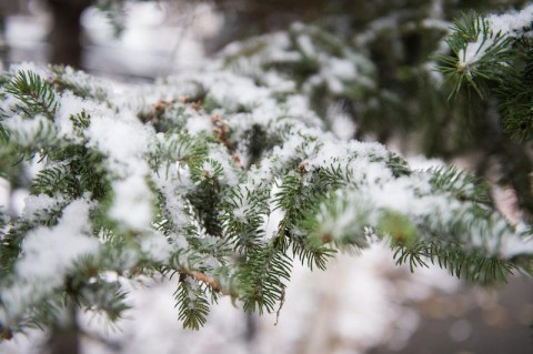 Каким будет начало недели на Среднем Урале?