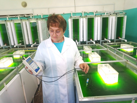 ​Ловись, сазан, большой!