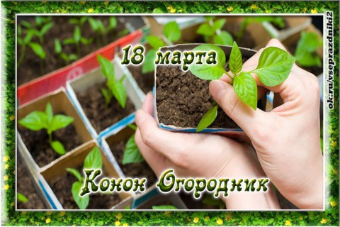 Народный календарь: ​Конон Огородник