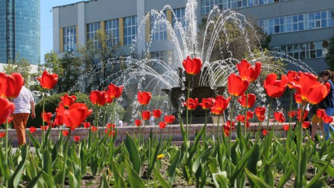 Какой будет погода в июне для Свердловской области?