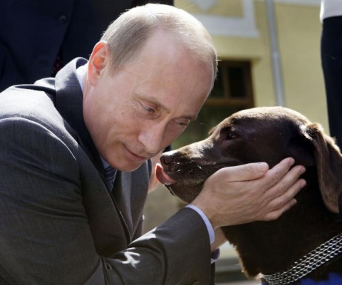 Подписан закон об ответственности в обращении с животными