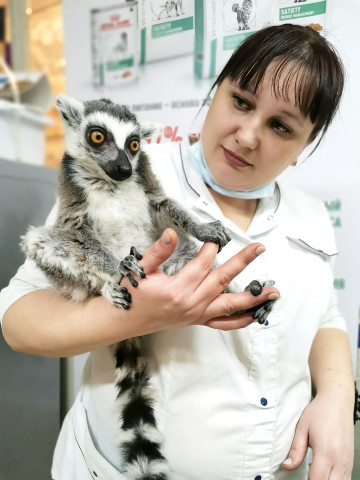 ​Засыпая, крепко обнимает лапками… История одного ветврача