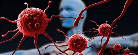 Вирусологи приблизились к созданию эффективной вакцины против ВИЧ