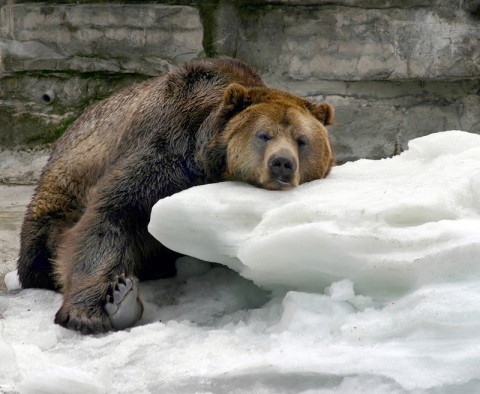 Народный календарь: ​Парамон Зимоуказатель