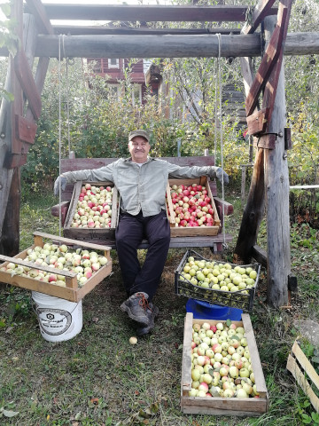 На даче у редакции, или «Мы с вами одной крови!» Часть 3. Практичный сад редактора