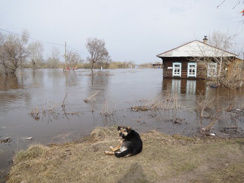 Разверзлись хляби небесные Разверзлись хляби небесные