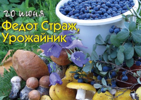 ​Народный календарь: Федот Урожайник