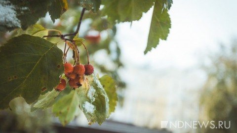 Какой будет погода на Урале зимой 2020/2021?