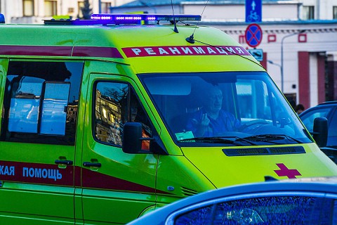 Как арбуз погубил пенсионера