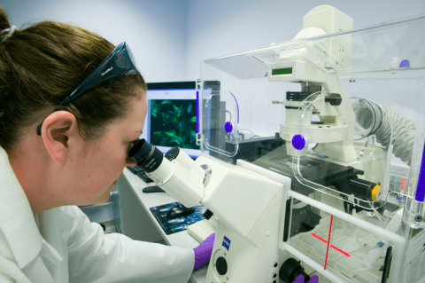 За сутки случаи коронавируса выявили в 15 российских регионах