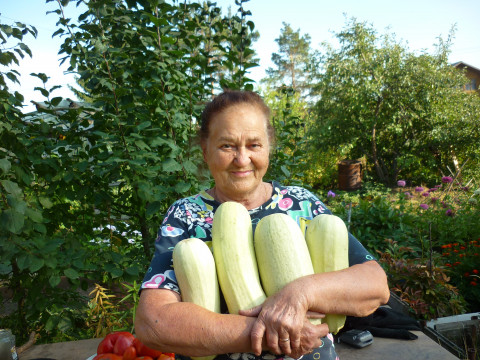 На даче у редакции, или «Мы с вами одной крови!» Часть 5. Урожай нашего главного садовода