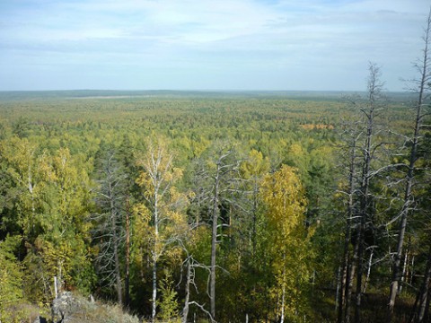 Малая родина: юбилей шахтерского поселка