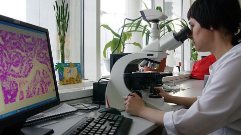 Минздрав назвал самые опасные для россиян виды рака