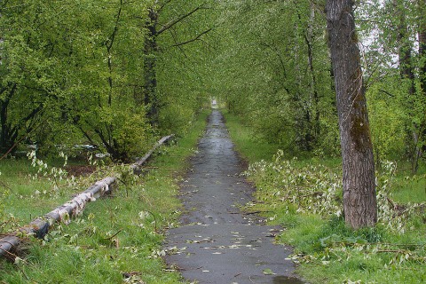В Свердловской области объявлено штормовое предупреждение