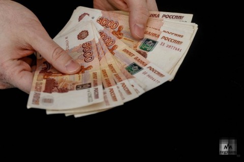 Жители РФ назвали необходимый размер МРОТ