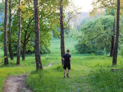 Как физкультура защищает мозг от старения?