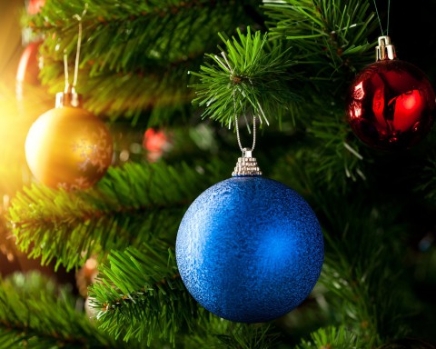 Счастливого нового года! Счастливого нового года!