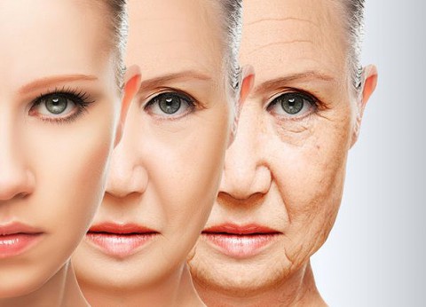 Тест: какой у вас биологический возраст?