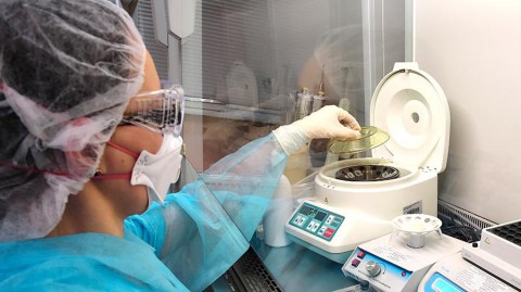 ​В России начались испытания вакцины от коронавируса