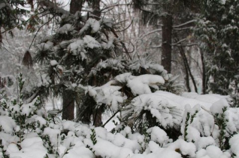 Синоптики: на Среднем Урале ожидаются морозы