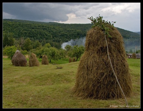 ​Народный календарь: Самсон Сеногной