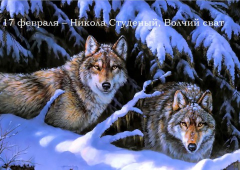 Народный календарь: ​Никола Студеный