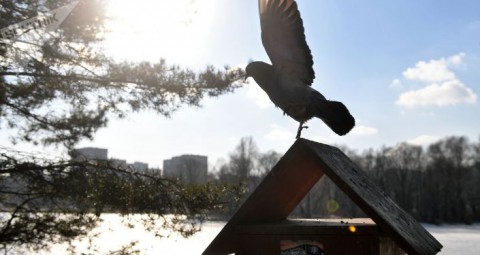 В Гидрометцентре предупредили об аномальном потеплении