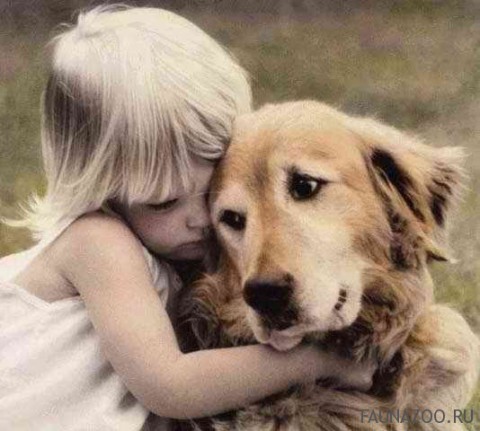 ​Человек собаке друг?