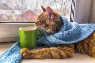 В Гидрометцентре рассказали, какой будет погода в марте