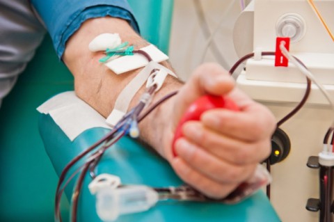 Может ли человек старше 60 лет стать донором?