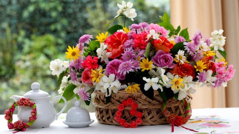 Поздравляем с 95-летием Анастасия Григорьевну ПАПУЛОВУ Поздравляем с 95-летием Анастасия Григорьевну ПАПУЛОВУ