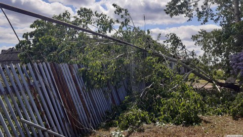 ​В Свердловской области дали прогноз на начало лета