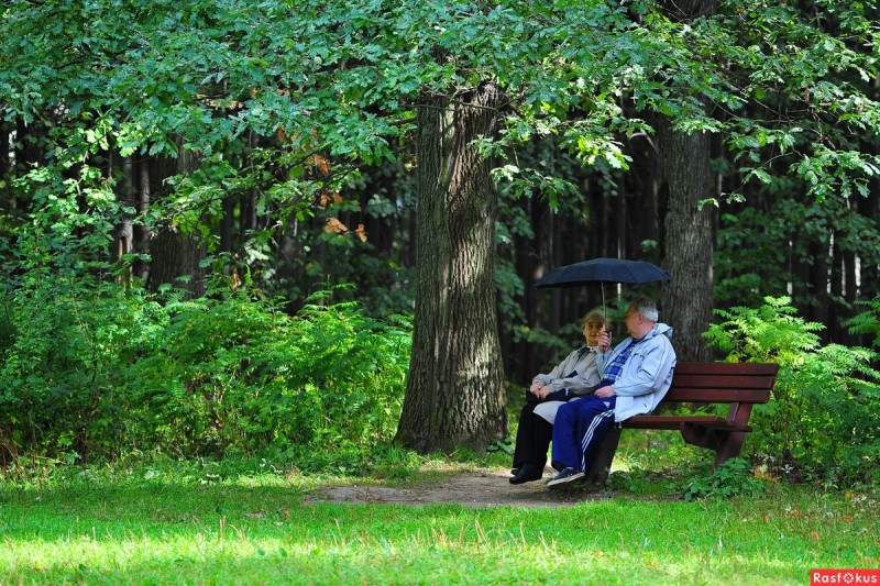 Правильно чистим зонтик