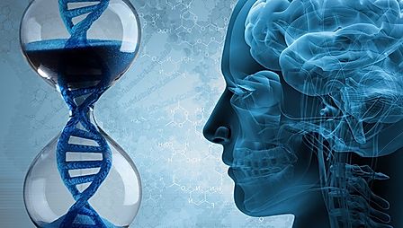 Разгадана загадка, почему с возрастом ощущение времени меняется