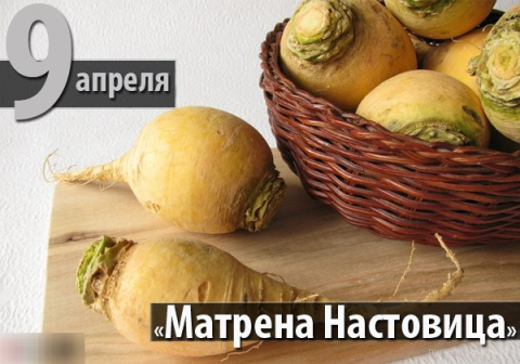 ​Матрена Настовица (Полурепица)