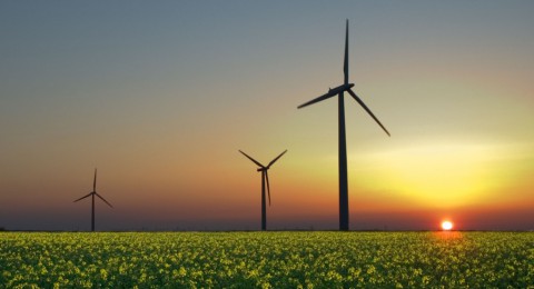 Народный календарь: ​Лукьян Ветряк