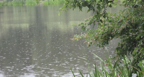 Найдена причина дождливого лета и наводнений в России