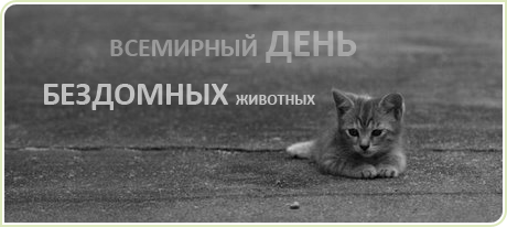 ​Всемирный день бездомных животных