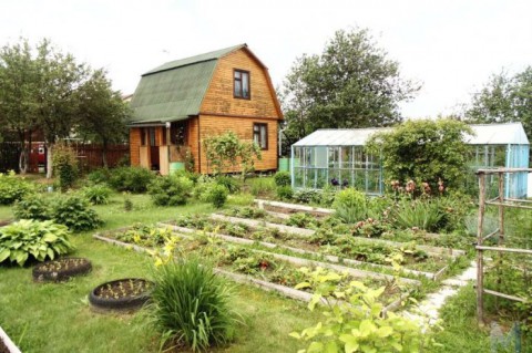 Горячая линия по дачной реформе: ответ юриста