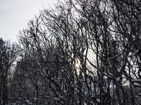 Свердловчан ожидает кратковременное потепление