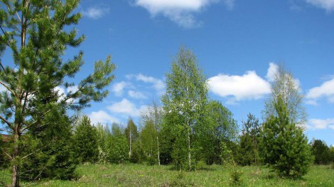 ​Гидрометцентр: начало лета в России будет жарким